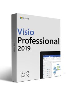 Microsoft Visio Professional 2019 (Dá sa premiestniť)