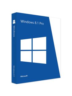 Windows 8.1 Professional (OEM)