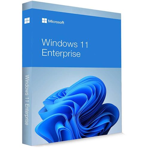 Microsoft Windows 11 Enterprise