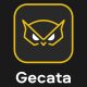 Gecata by Movavi 6 - Streaming and Game Recording Software (1 zariadenie / Lifetime) (Steam)